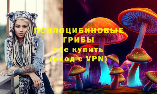 Альфа ПВП Лагань