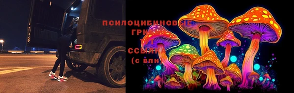 прущий лед Ладушкин