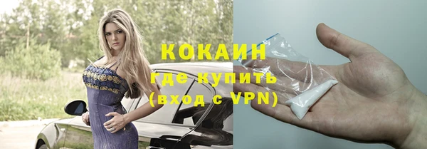 Альфа ПВП Лагань
