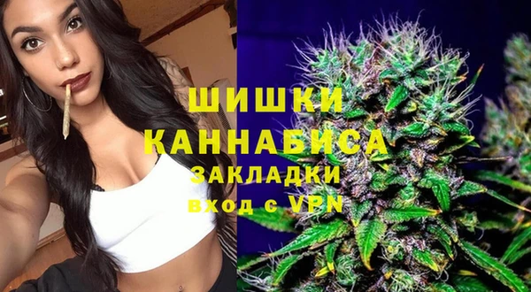 Альфа ПВП Лагань
