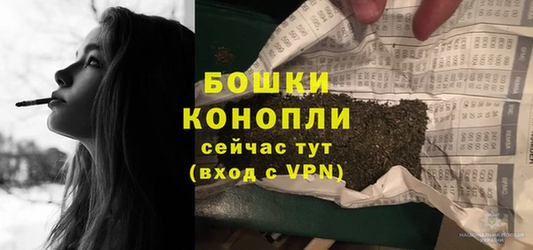 Альфа ПВП Лагань